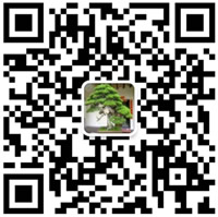 扫一扫关注
